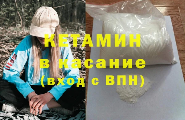 шишки Калининец