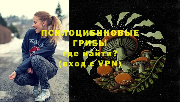 мяу мяу мука Нестеровская